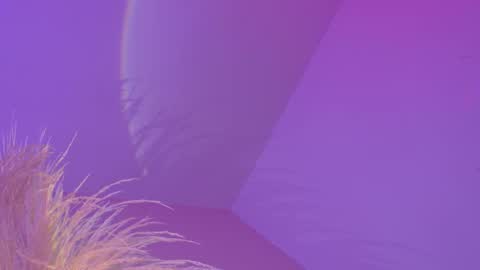 Liiam Luna online show from January 6, 9:02 am