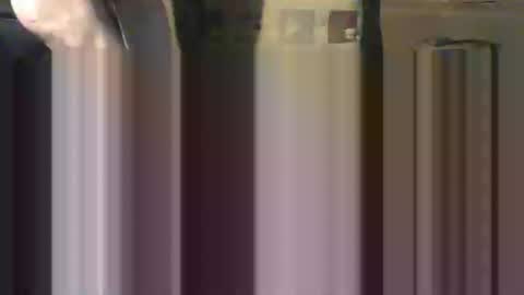 Snapshot of littlejay4773 chatting on February 8, 1:11 pm littlejay             littlejay online show from February 8, 1:11 pm