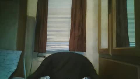 livetyy online show from December 17, 6:14 pm