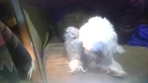 loggingjam online show from March 16, 5:14 am