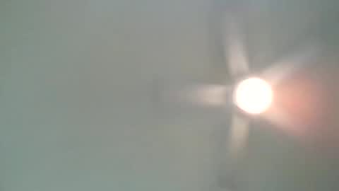 long1969dong online show from February 21, 2:17 am