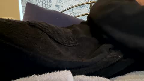 longshank09 online show from February 8, 10:39 am