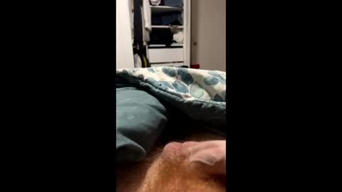 lovedickbi online show from March 14, 12:23 pm