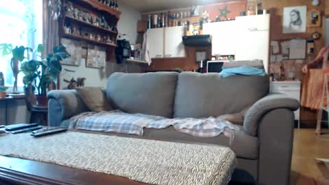 aaron online show from February 4, 12:00 pm