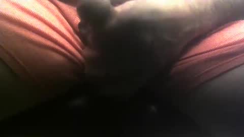 Snapshot of lunatica12 chatting on December 28, 7:11 am lunatica12 online show from December 28, 7:11 am