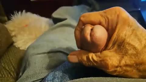 lv2j online show from April 11, 3:46 am