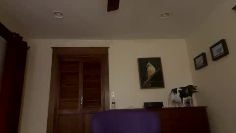 lyle blue online show from February 4, 1:11 am