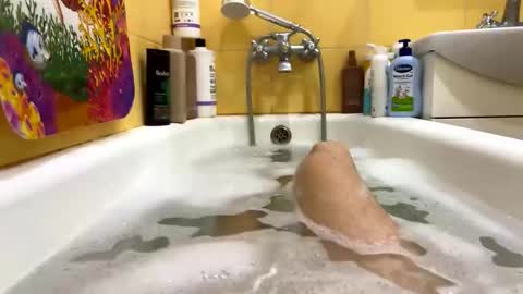 Monad online show from November 10, 9:09 pm