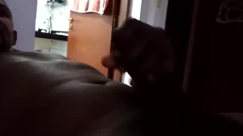 Joe online show from September 21, 10:21 pm