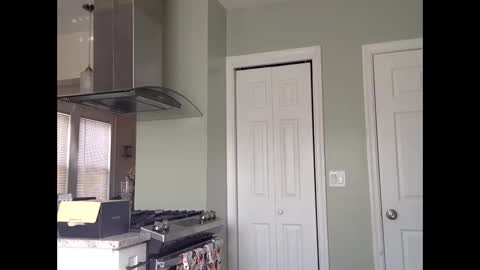 david 77977 online show from November 19, 5:13 pm