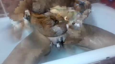 Snapshot of marian20242025 chatting on October 8, 8:40 am marian20242025 online show from October 8, 8:40 am