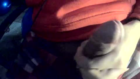 Shadow online show from January 19, 7:32 am