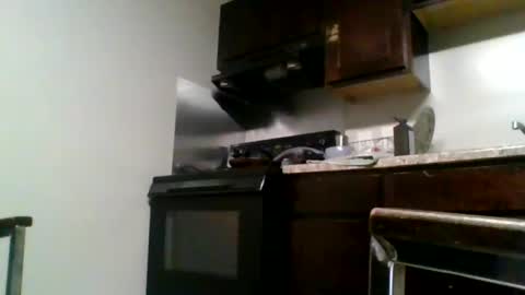 mark7062012 online show from July 16, 7:26 am