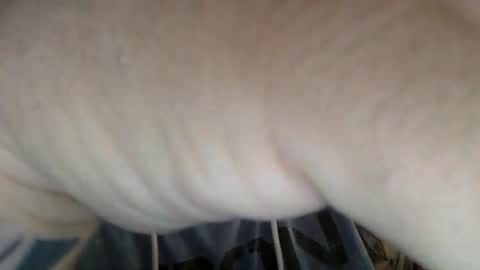 masterdutch44 online show from November 1, 8:35 pm