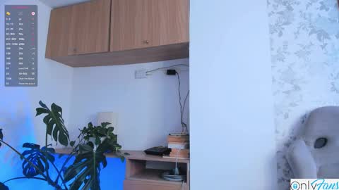 Mateo online show from November 26, 11:13 am