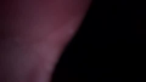 max8899allo online show from November 1, 6:28 am