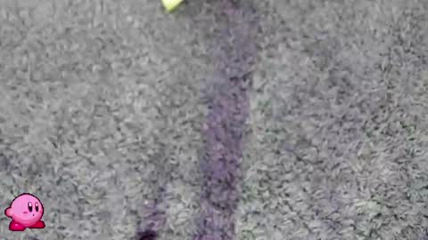 bunny black   online show from February 8, 9:15 pm