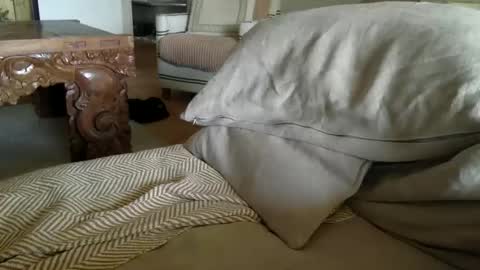 mazl0w online show from November 10, 12:04 am