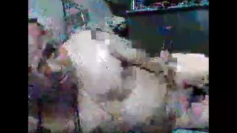 mcaraj2 online show from March 24, 6:24 pm