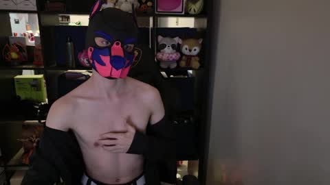 MellPUP online show from March 30, 1:45 pm