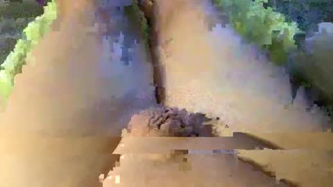 Wade online show from January 8, 1:42 am