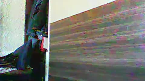 michal_waldecki online show from March 7, 10:13 am