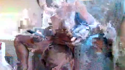 Mightymandingo online show from April 17, 11:40 pm