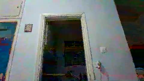 mmpempis81 online show from October 20, 4:11 pm
