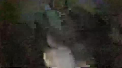 moet2 online show from April 7, 4:12 am