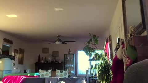 Monkee Dance online show from December 14, 12:28 am