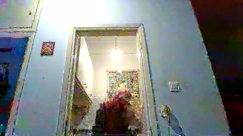 mppempis81 online show from December 18, 6:59 pm