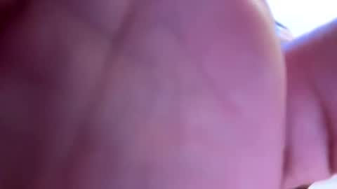 mrfrankfuckforfree online show from January 15, 5:29 am