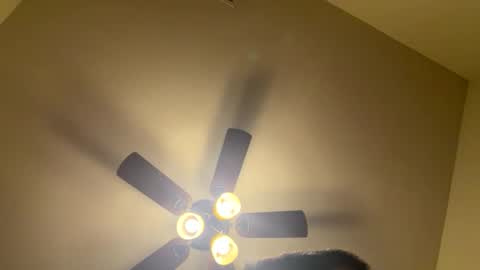 mrorange50187 online show from February 2, 11:46 pm