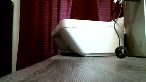 mushroom216 online show from October 4, 12:10 pm