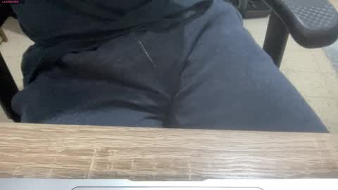 myStallion online show from January 22, 6:41 pm