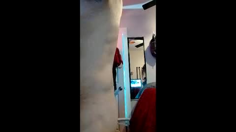 cheesechip online show from December 19, 12:51 am