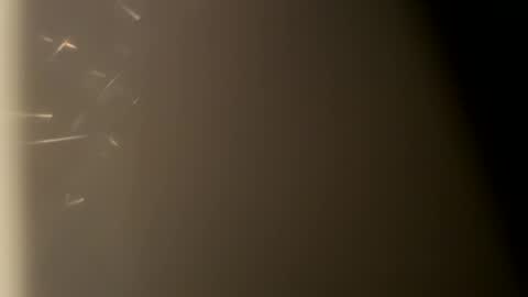 nairda2senoniuq online show from February 1, 12:18 am