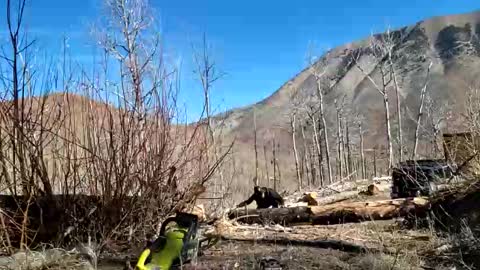 Naked Cabin Man online show from March 19, 4:10 pm