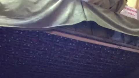 nakelabel202251 online show from April 19, 1:43 pm