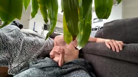 Beetlesboy online show from July 28, 8:44 am