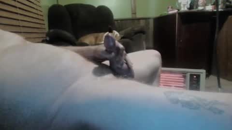 Snapshot of ned_is_naughty chatting on March 11, 7:37 am ned is naughty online show from March 11, 7:37 am