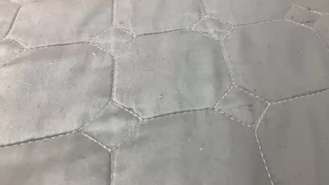 - online show from January 11, 11:56 pm