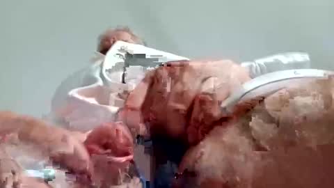 Snapshot of nickthefiddler chatting on December 28, 8:58 am TheCock online show from December 28, 8:58 am