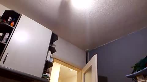 MikeVanDyck online show from February 23, 5:36 pm