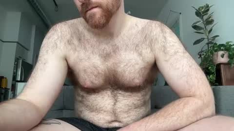 No Plan online show from February 22, 5:53 pm