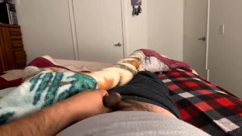 se le perdio algo perra hp online show from January 10, 9:02 am