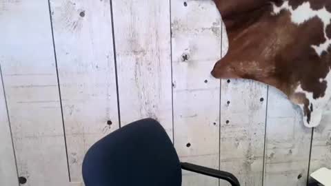 kinkynerd online show from February 24, 4:47 pm