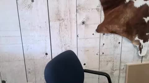 kinkynerd online show from November 1, 3:16 pm