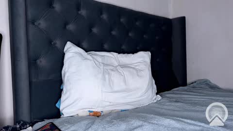 origamicat online show from January 26, 12:22 pm