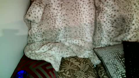 Snapshot of parlaytellio chatting on December 15, 6:07 am Parlay Tellio online show from December 15, 6:07 am